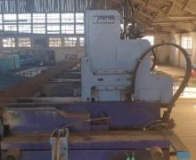 : Primultini_SGP19 CV_Log Band Saw