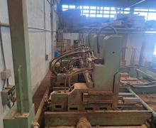 : Primultini_US 02/26_Segatronchi Completi