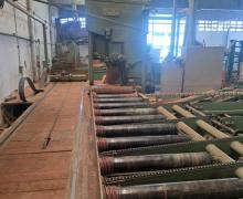 : Primultini_US 02/26_Segatronchi Completi