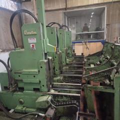 : Primultini_US 01/26_Segatronchi Completi