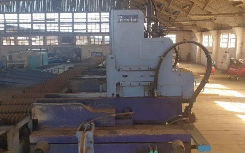 : Primultini_SGP19 CV_Log Band Saw