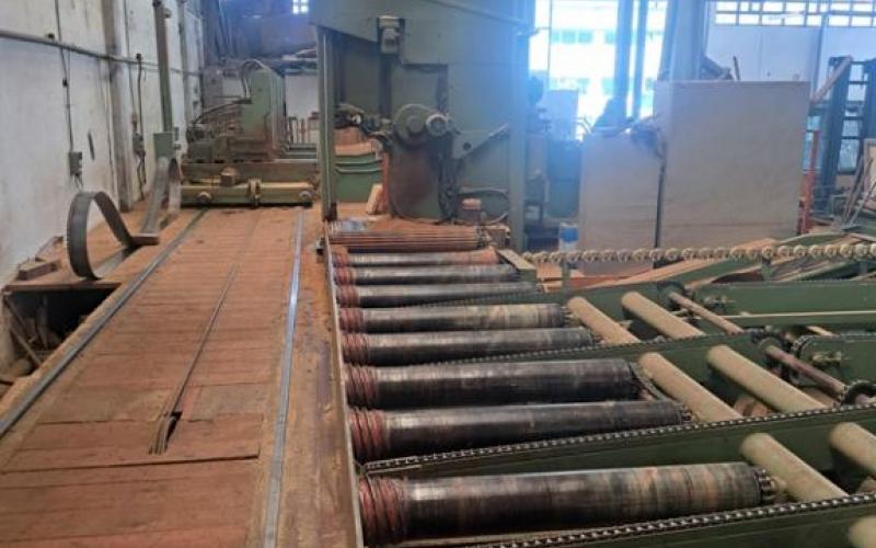 : Primultini_US 02/26_Segatronchi Completi