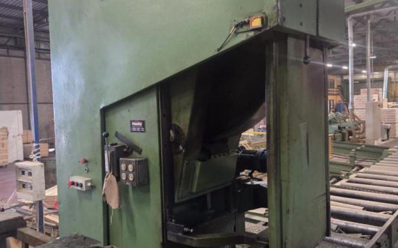 : Primultini_US 01/26_Segatronchi Completi