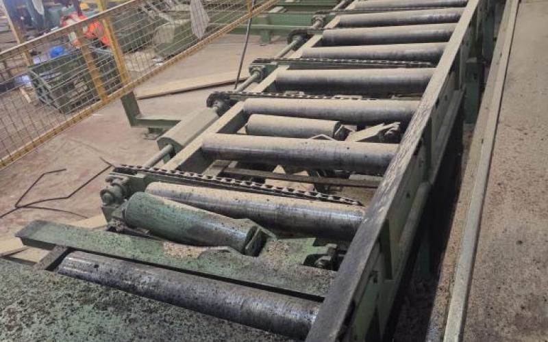 : Primultini_US 01/26_Segatronchi Completi