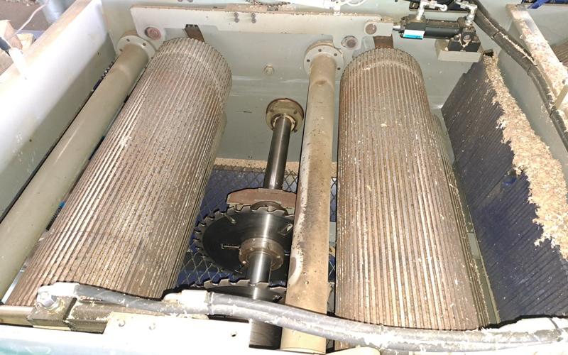 : Angomac _UR 01/26_Edgers